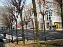 01 - Campus Neubau.jpg